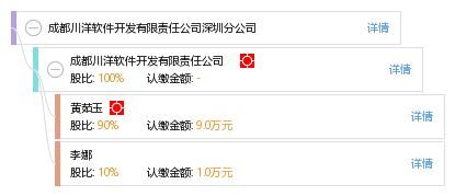 成都川洋軟件開發(fā)有限責任公司深圳分公司 深圳軟件開發(fā)領(lǐng)域的匠心筑夢者